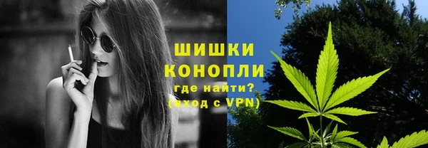 МДПВ Нефтегорск