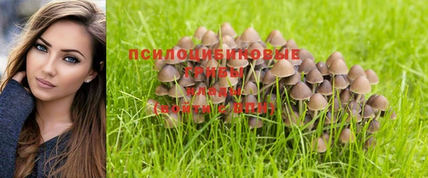 метамфетамин Нея