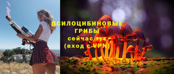 ПСИЛОЦИБИНОВЫЕ ГРИБЫ Нефтекумск