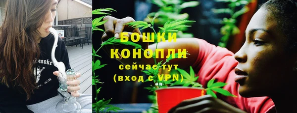 МДПВ Нефтегорск