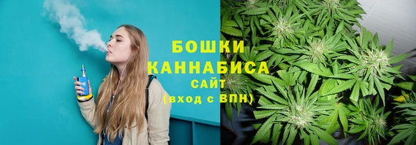 МДПВ Нефтегорск