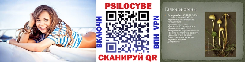 Галлюциногенные грибы Psilocybe  Себеж 