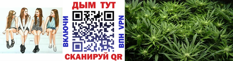 закладки  Себеж  Конопля тримм 